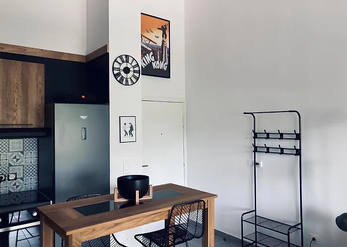 Appartement Design Au Coeur De Montpellier Avec Parking Prive